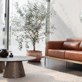 Coffee-Table-Mushroom-Wood-Round-Table-Smoked-80cm-Lifestyle-Sofa-HomeFurniture-ETUGENE