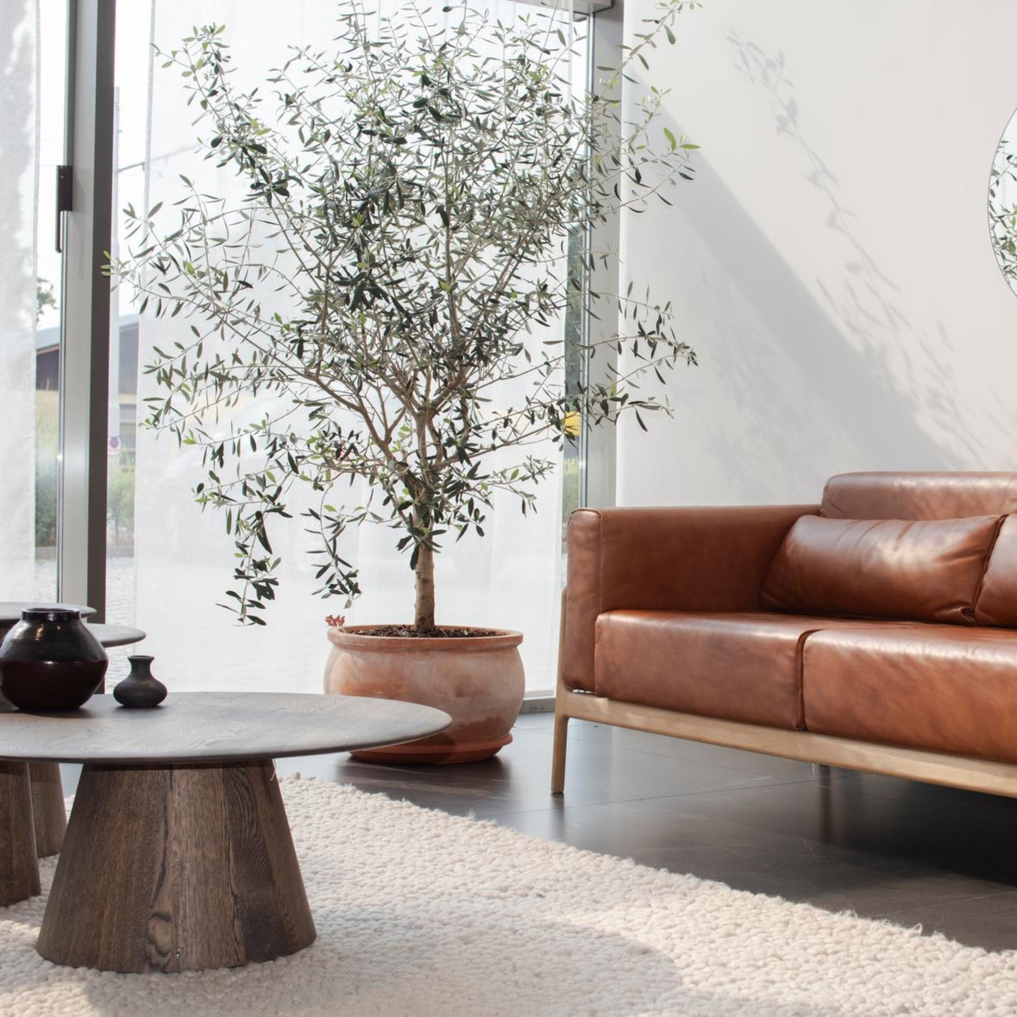 Coffee-Table-Mushroom-Wood-Round-Table-Smoked-80cm-Lifestyle-Sofa-HomeFurniture-ETUGENE